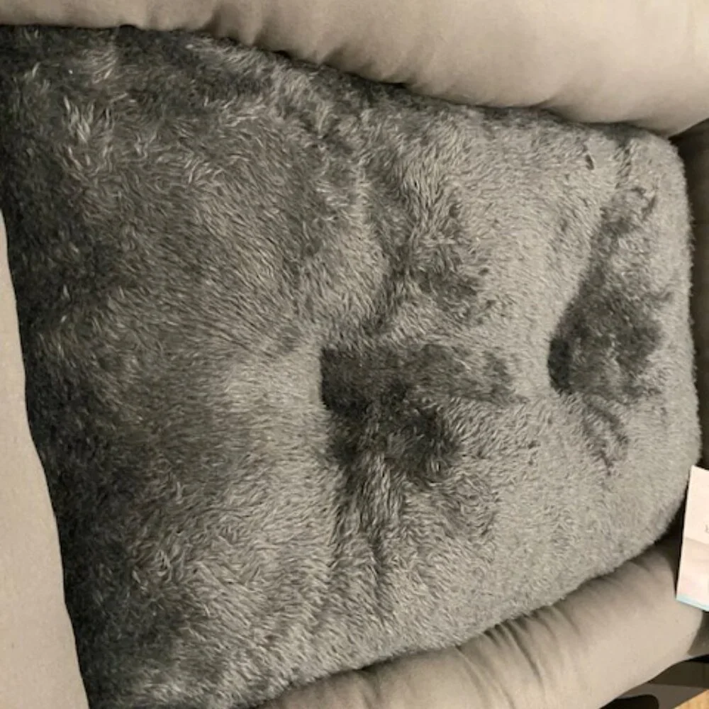 Modern Threads! Pet Bed COZY CUDDLER (22 in x 16 in x 5 in)